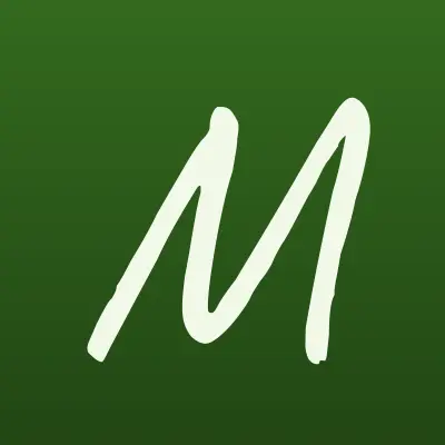 Mega Мойка