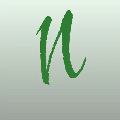 Nomad Insurance